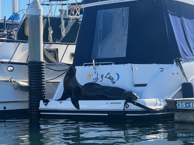 Harbor Notes No. 7: The People You Meet in a&nbsp;Harbor